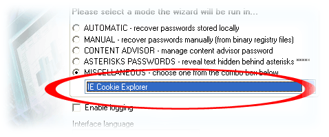 IE Cookie Explorer