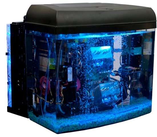 Puget Aquarium PC V4: компьютер-аквариум в минеральном масле
