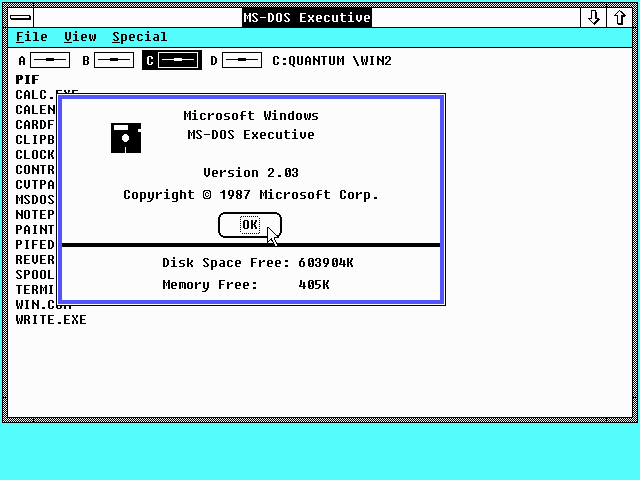 Microsoft Windows 2.0