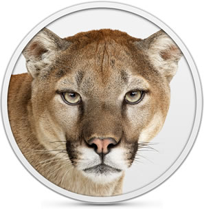 Способы установки OS X Mountain Lion