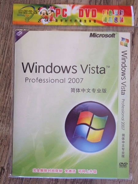Windows Vista Professional 2007