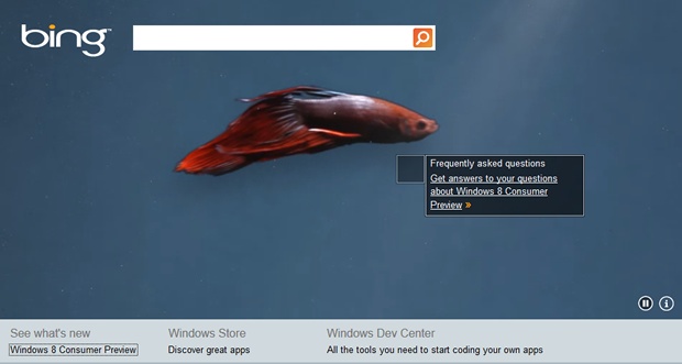 Windows 8 Consumer Preview