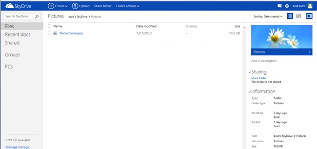 Microsoft SkyDrive Metro